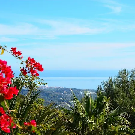 Апартаменты Casa Amarilla, Luxury Country With Pool And Parking Hansonholiday Фрихилиана
