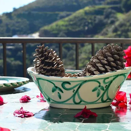 Апартаменты Casa Amarilla, Luxury Country With Pool And Parking Hansonholiday Фрихилиана